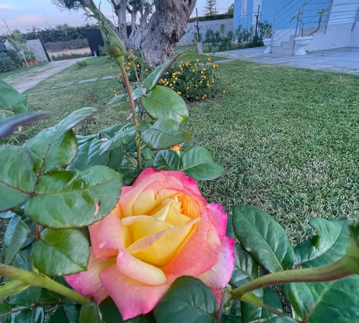 Anastasia Beach Cottage Pomelia Fontane Bianche